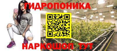 PSILOCYBIN Камень-на-Оби